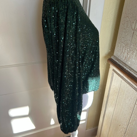 Anthropologie Dark Green Sequin Blouse - Picture 8 of 13